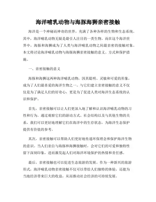 海洋哺乳动物与海豚海狮亲密接触