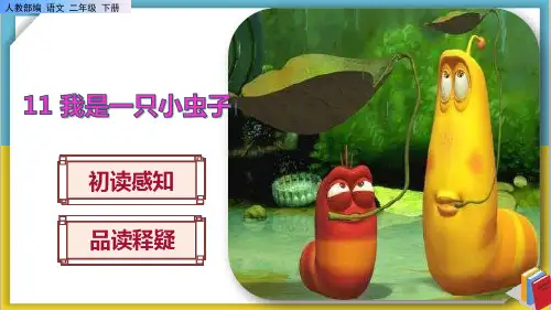 《我是一只小虫子》课件PPT(完美版)二年级下册语文部编