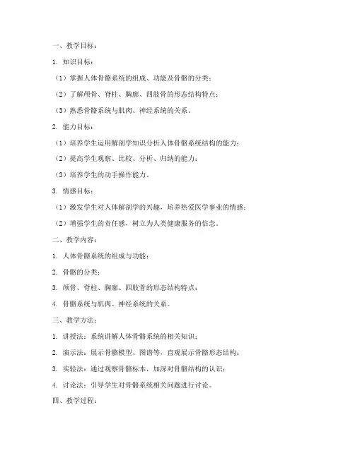 人体解剖讲课教案模板范文