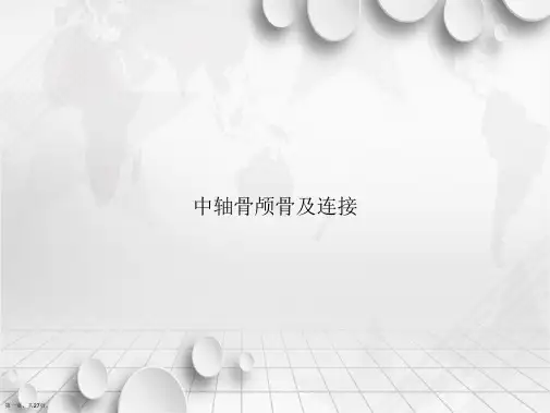 中轴骨颅骨及连接讲课文档