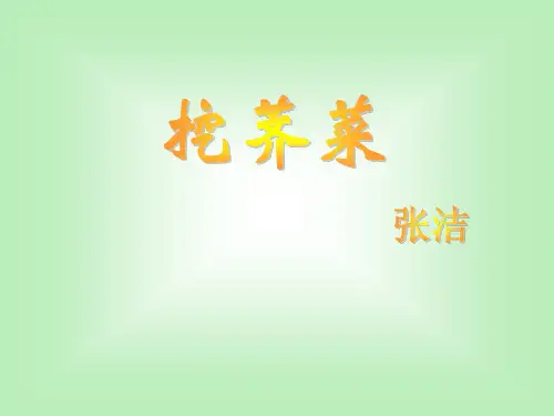 九年级语文上册北师大版课件：第一单元 挖荠菜 (共9张PPT)