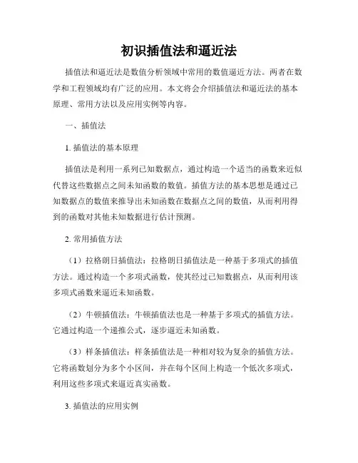 初识插值法和逼近法