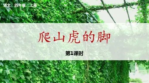 《爬山虎的脚》PPT教学课件