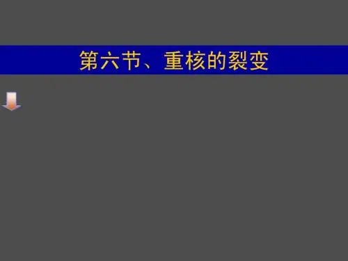 10.07.30高三物理《重核的裂变+核聚变》(课件)