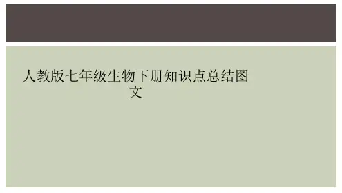 人教版七年级生物下册知识点总结图文