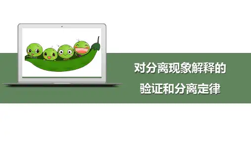 对分离现象解释的验证和分离定律-高中生物必修二课件