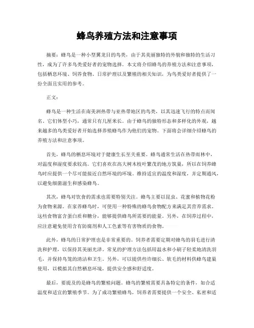 蜂鸟养殖方法和注意事项