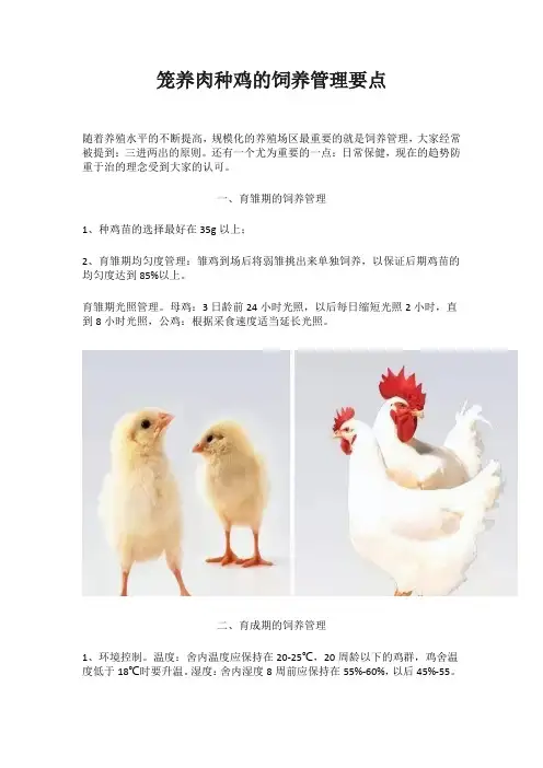 笼养肉种鸡的饲养管理要点