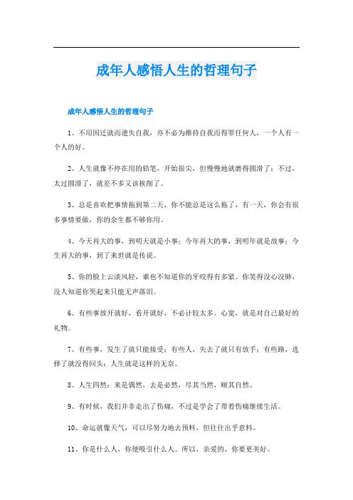 成年人感悟人生的哲理句子