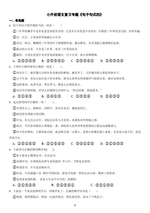 小升初语文复习专题《句子句式4》练习及答案
