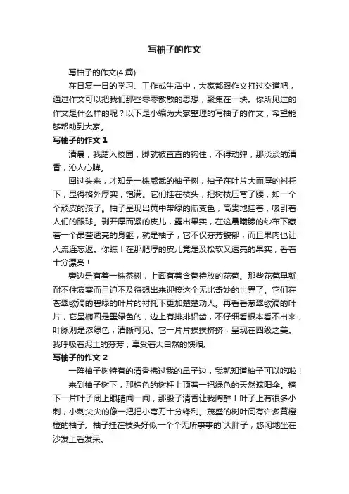 写柚子的作文（4篇）