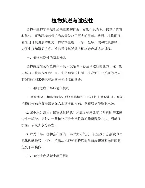 植物抗逆与适应性