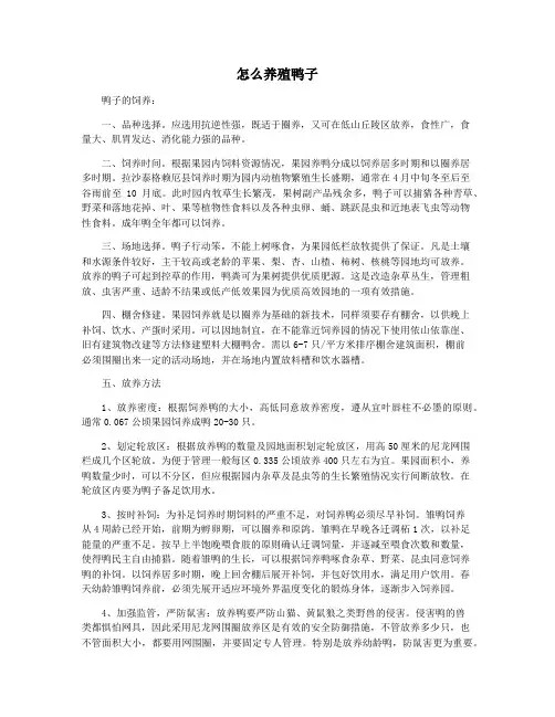 怎么养殖鸭子
