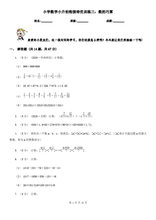 小学数学小升初衔接培优训练三：数的巧算