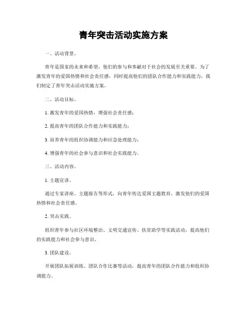 青年突击活动实施方案