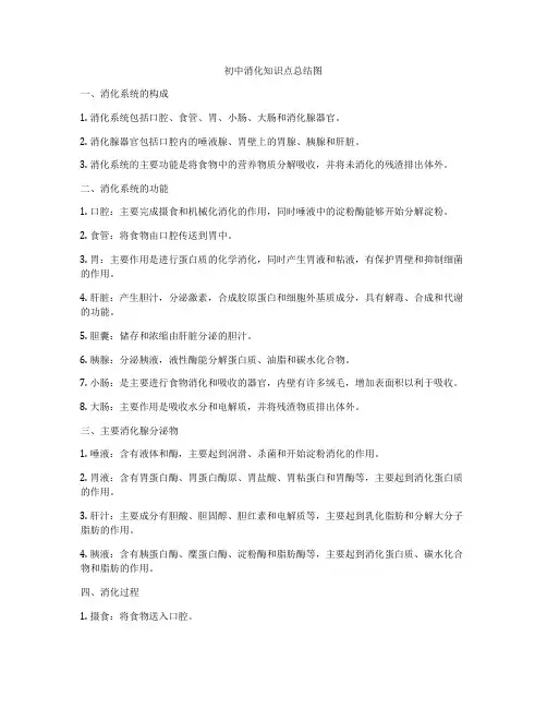初中消化知识点总结图