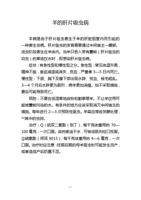 羊的肝片吸虫病