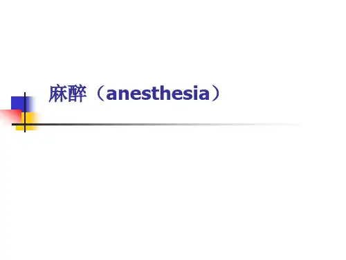 麻醉 PPT课件