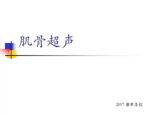 肌骨超声