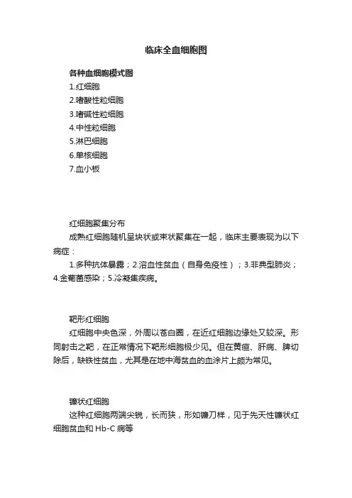 临床全血细胞图