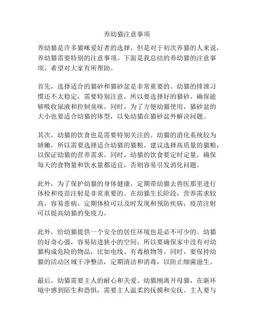 养幼猫注意事项