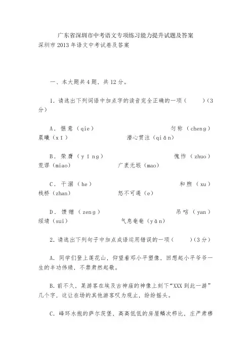 广东省深圳市中考语文专项练习能力提升试题及答案-6