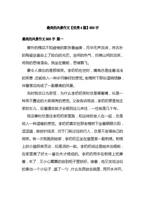 最美的风景作文【优秀4篇】800字