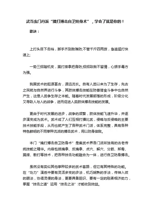 武当玄门丹派“擒打搏击自卫防身术”，学会了就是你的！