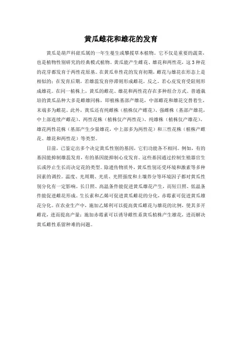 黄瓜雌花和雄花的发育