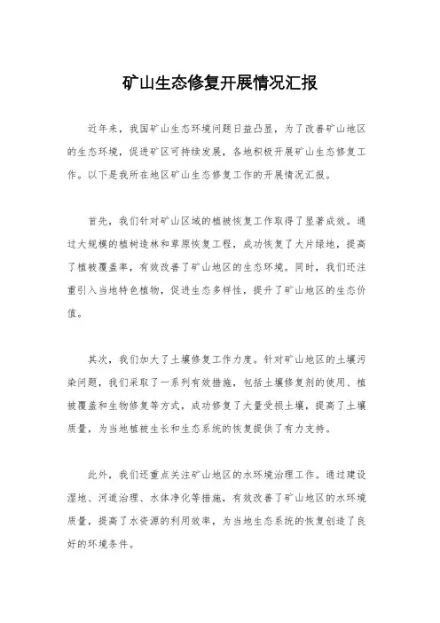 矿山生态修复开展情况汇报
