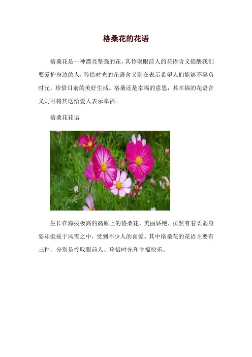 格桑花的花语