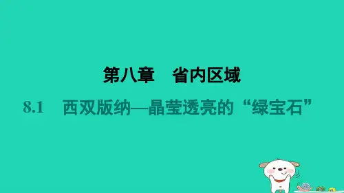 2024八年级地理下册第八章省内区域8.1西双版纳_晶莹透亮的“绿宝石”习题课件晋教版