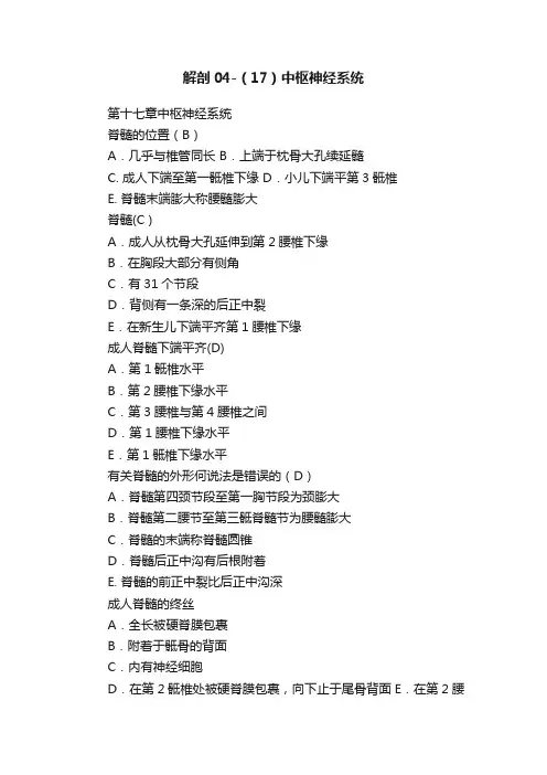 解剖04-（17）中枢神经系统