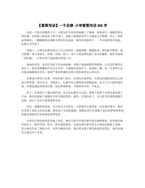 【看图写话】一个足球 小学看图写话300字