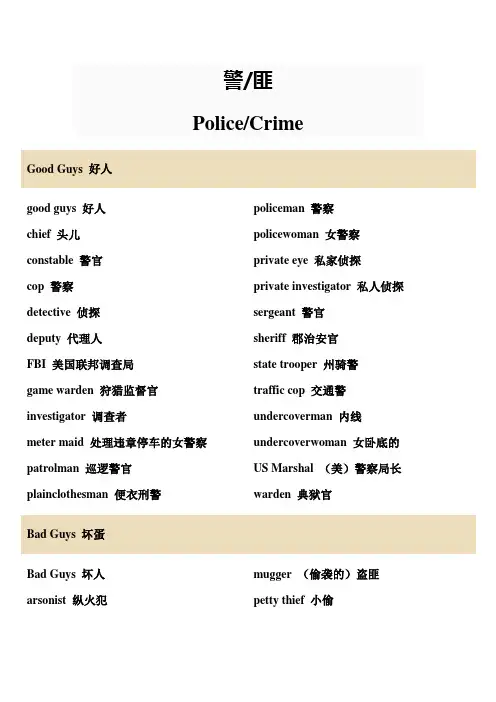 英语词汇-警匪