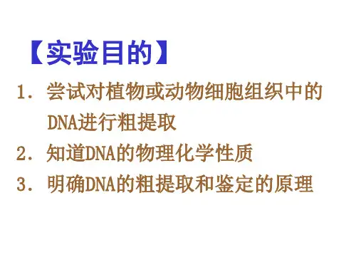 优质课DNA的粗提取ppt课件