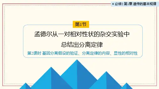 1.1孟德尔从一对相对性状的杂交实验中总结出分离定律课件高一下学期生物浙科版必修2