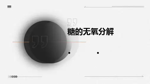 糖的无氧分解
