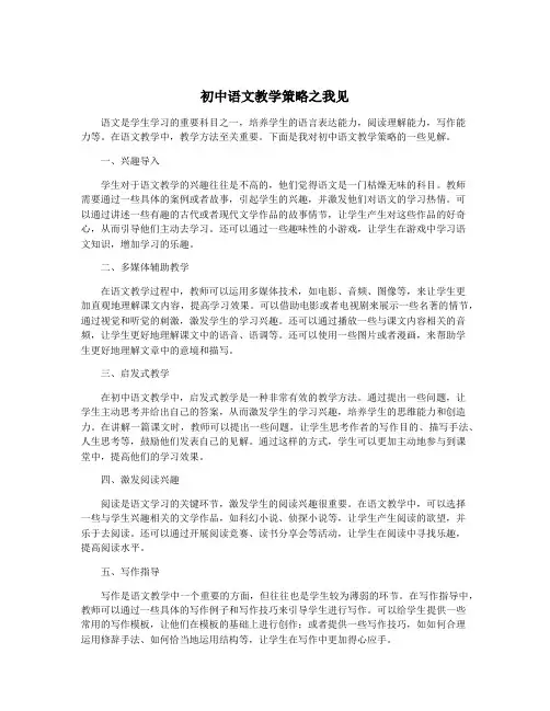 初中语文教学策略之我见