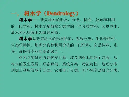 树木学课件(总论)PPT幻灯片