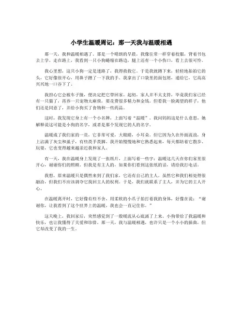 小学生温暖周记：那一天我与温暖相遇