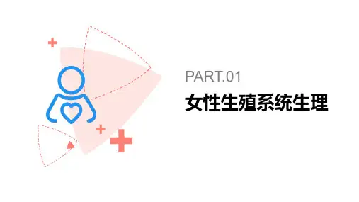 妇科护理-女性生殖系统生理PPT课件
