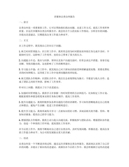多媒体自查自纠报告