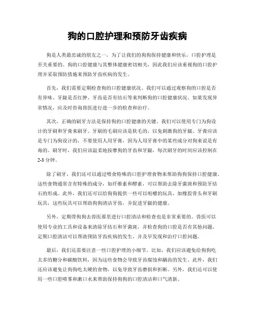 狗的口腔护理和预防牙齿疾病