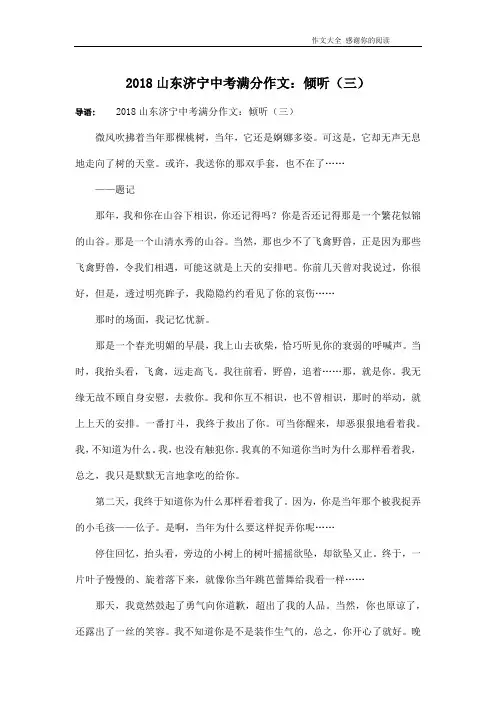2018山东济宁中考满分作文：倾听(三)