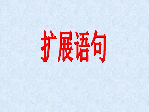 扩展语句