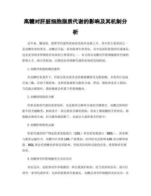 高糖对肝脏细胞脂质代谢的影响及其机制分析