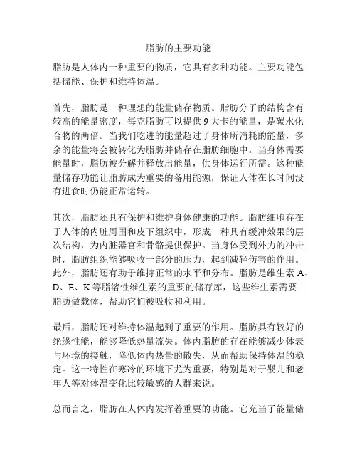 脂肪的主要功能