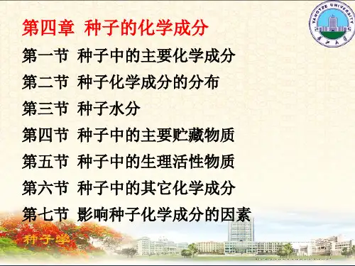 种子化学成分