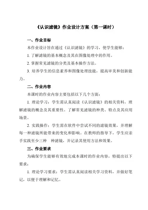 《第二单元第6课滤镜的应用(一)一、认识滤镜》作业设计方案-初中信息技术人教版七年级下册自编模拟